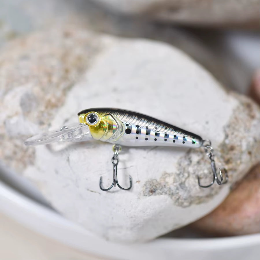 Wobbler, 4cm und 3G